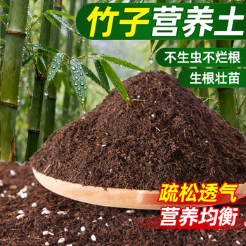 Special nutrient soil for bamboo indoor balcony household soil