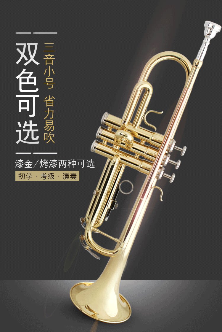 三音小号B调铜管乐器喇叭学生初学乐队专业考级便携箱