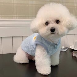 2026 Pet Autumn and Winter Clothing Dog Clothes Spring and Autumn Style Cat Teddy Bichon Pomeranian Small Puppy Fleece Vest