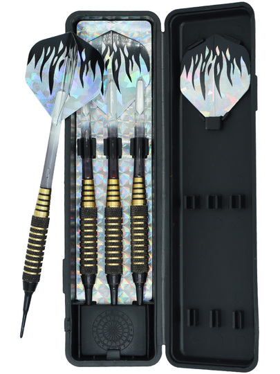 Grn Darts 19g ソフトチップダーツセット - プロフェッショナル＆セーフ
