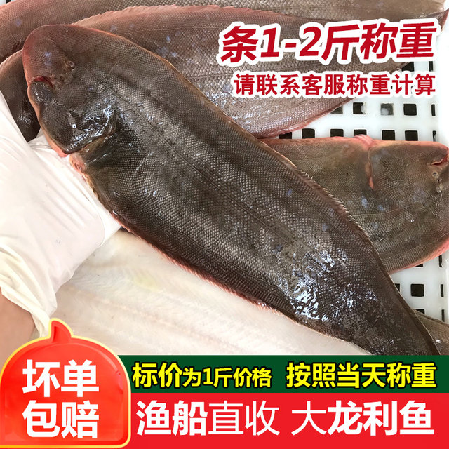 Hashan Fish Super large dragon fish, fresh frozen Chaoshan seafood, aquatic ...