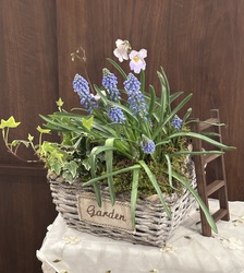 Garden Groceries: Rusty Wicker Flower Baskets 16×7/19×9/23×10 (if You Don'T Mind the Rust, Go Ahead)