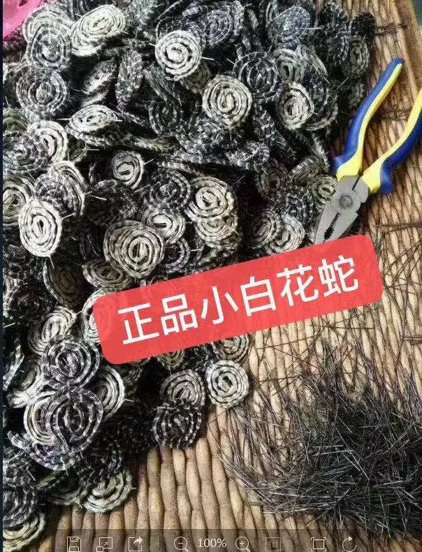 金钱白花蛇1条1克中药材原料小白花蛇干小白蛇 金钱白花蛇1条1克中药材原料小白花蛇干小白蛇