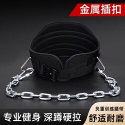 Weight-Bearing Belt for Fitness, Pull-Ups, Squats, Upper Arm Flexion and Extension, Pull-Up Weight Belt, Horizontal Bar, Parallel Bars, Weight-Bearing Iron Chain