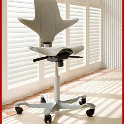 Ergonomic Chair for Riding, Computer Chair, Adjustable Office Chair, Reclining Chair with Kgs Gas Lift