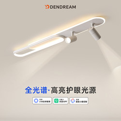 Special Smart Ceiling Light with Spotlights for the Hallway and Cloakroom, Entryway, Dressing Table, Balcony, Long Strip Corridor Light