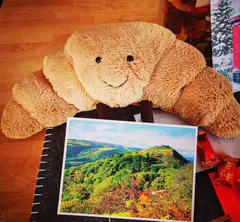 French Baguette Plushie