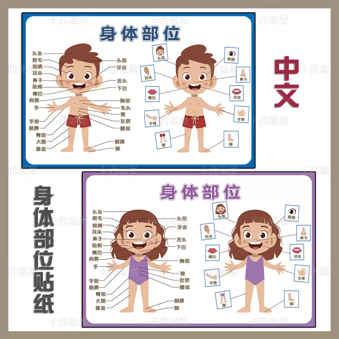 中文儿童身体部位认识身体五官器官早教学习启蒙海报贴纸墙贴 Taobao