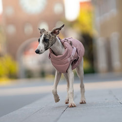 Musi Di Smoke Pink Pet Winter Clothing, Warm and Thickened Windproof Dog Clothes, Chest and Back Integrated Low Saturation Pet Clothing