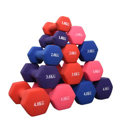 Equipment Cast Iron Pure Iron Small 1 Multiple Types Women's Kilogram 2 Fitness Solid Color Dumbbells Men/Home Use Plastic-Coated Dumbbells