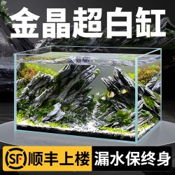 Chudi 2025 Ultra-Clear Rectangular Glass Goldfish Tank, Small Desktop Living Room Home Turtle Tank, Ecological Grass Tank