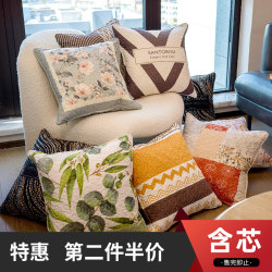 [Clearance] Removable and Washable Throw Pillow Nordic Modern Fashion Geometric Living Room Sofa Cushion Pillow Cover