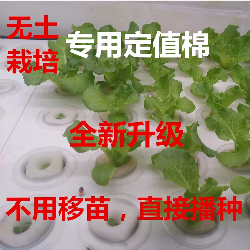 无土栽培水培蔬菜设备种植棉阳台种菜机固定绵水培定植绵包邮 Taobao