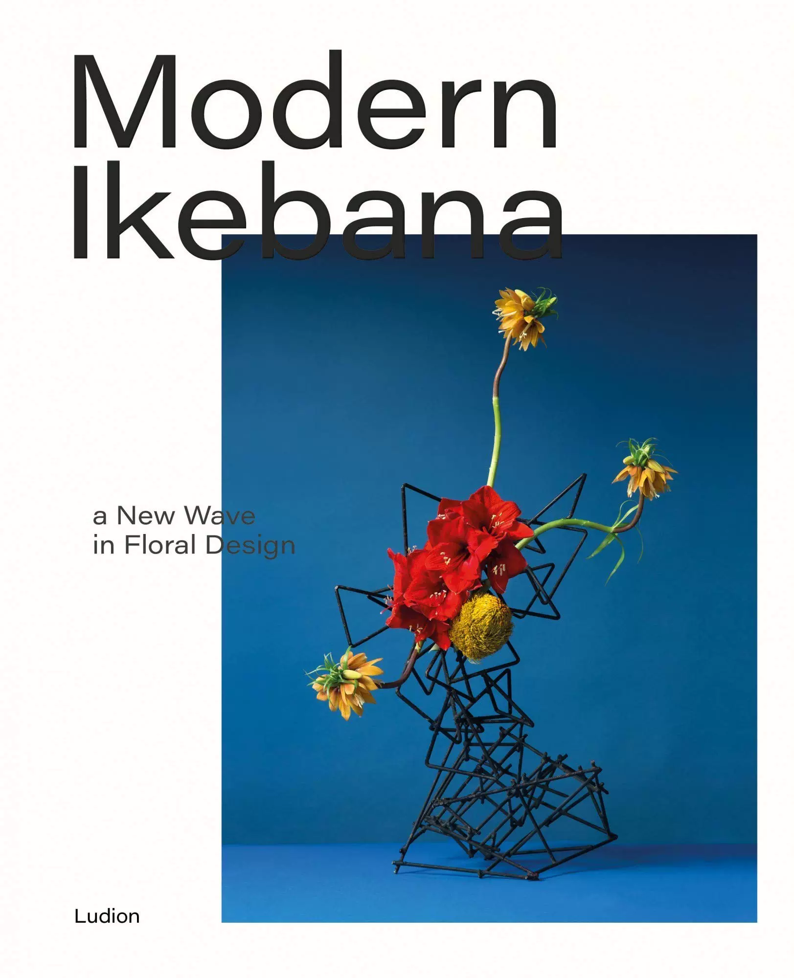 现代花道日本花艺设计的新潮流modern Ikebana A New Wave In Floral Design 英文原版艺术设计画册