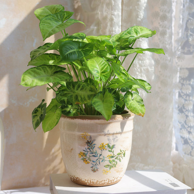 French retro old ceramic flower pot gardening flowers green plants succulent Nordic soil utensils art home decoration