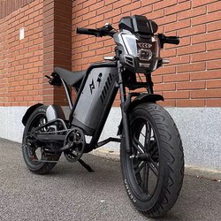 Super73 Rx Electric Bicycle, Multi-Functional Off-Road Transportation, Retro Variable-Speed Cycling Lithium Battery Bicycle