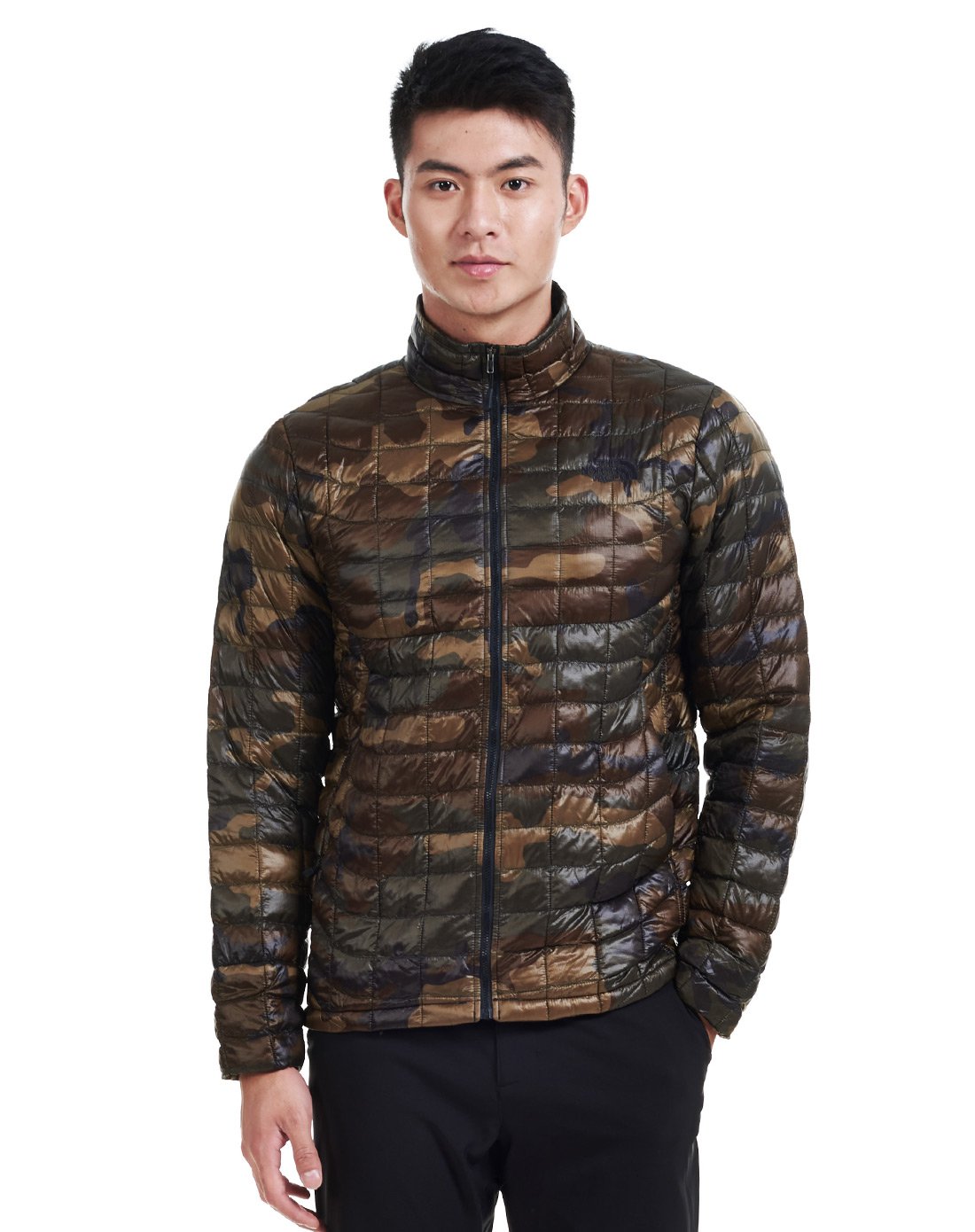 SPOT THE NORTH FACE C939   īö  Ŷ -