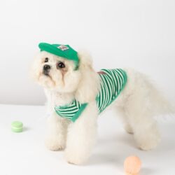 Green Striped Hooded Outdoor Leash-Compatible Spring/Summer Vest for Small Dogs, Bichon Pet Dog Clothing Set