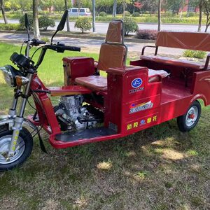 Fuel powered elderly, disabled, commuting 125cc tricycles, passenger cars, trucks, gasoline motorcycles