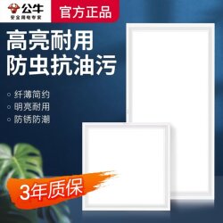 Bull Brand Integrated Ceiling Led Light 30X30 Embedded Bathroom Panel Light Ceiling Light 300×600 Kitchen Light