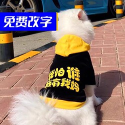 Cultural and Creative Design: I'M Afraid of Nothing - Cat and Dog Clothes, Autumn Outfits, Teddy Clothes, Pet Clothing, Small Dog Pomeranian Spring and Autumn Styles