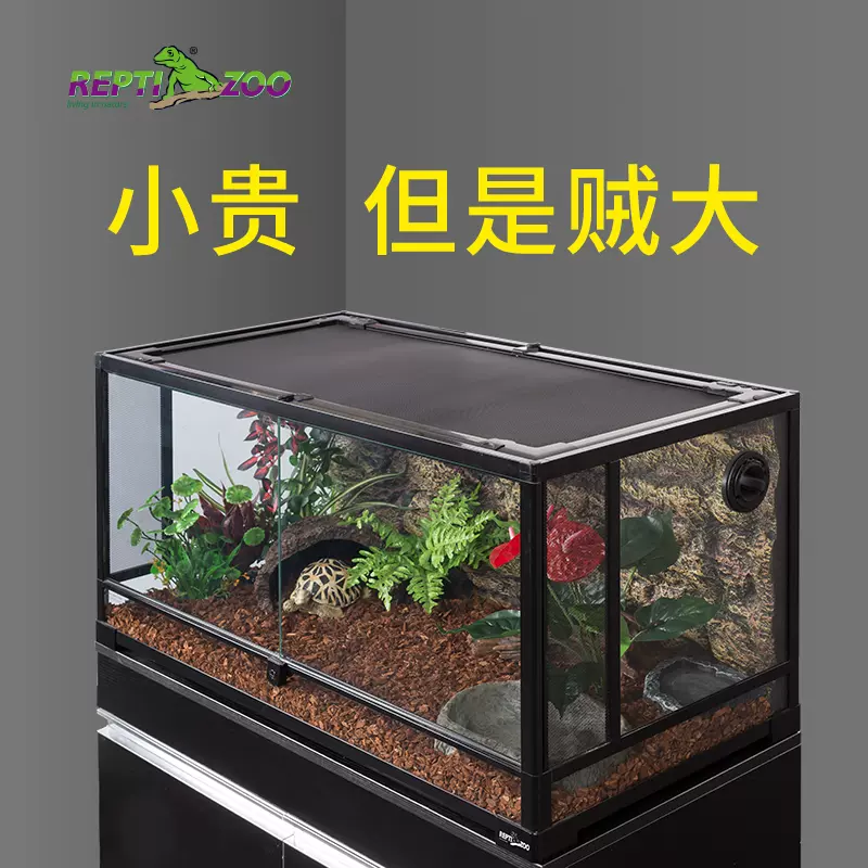蜥蜴の迷宮 新派reptizoo爬寵飲水器守宮蜥蜴自動喂水器飼養箱造景