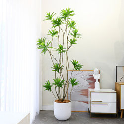 Internet-Famous Artificial Green Plant Lily Bamboo Potted Plant, High-End Light Luxury Artificial Plant, Large Living Room Floor-Standing Decorative Fake Tree