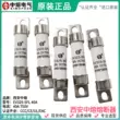 Cầu chì xe điện năng lượng mới Tây An Zhongrong RS309-MF-14L 50A-40A-35A-32A 750V cầu chì xe winner Cầu chì