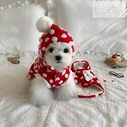 New Year's Festive Clothing for Small Dogs, Winter Christmas Special Outfits for Small-Sized Dogs