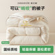 Soy fiber cotton quilt winter quilt core new winter spring and autumn single and double 10Jin [Jin equals 0.5kg] universal thickening and warmth for all seasons