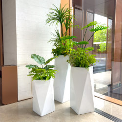 Wo+ Artificial Dragon Blood Tree Monstera Plant in Fiberglass Planter for Decoration in Shopping Malls, Hotels, Company Reception Areas