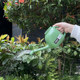 
Japanese imported garden watering kettle gardening watering kettle household watering kettle plastic shower medium long mouth watering kettle durable