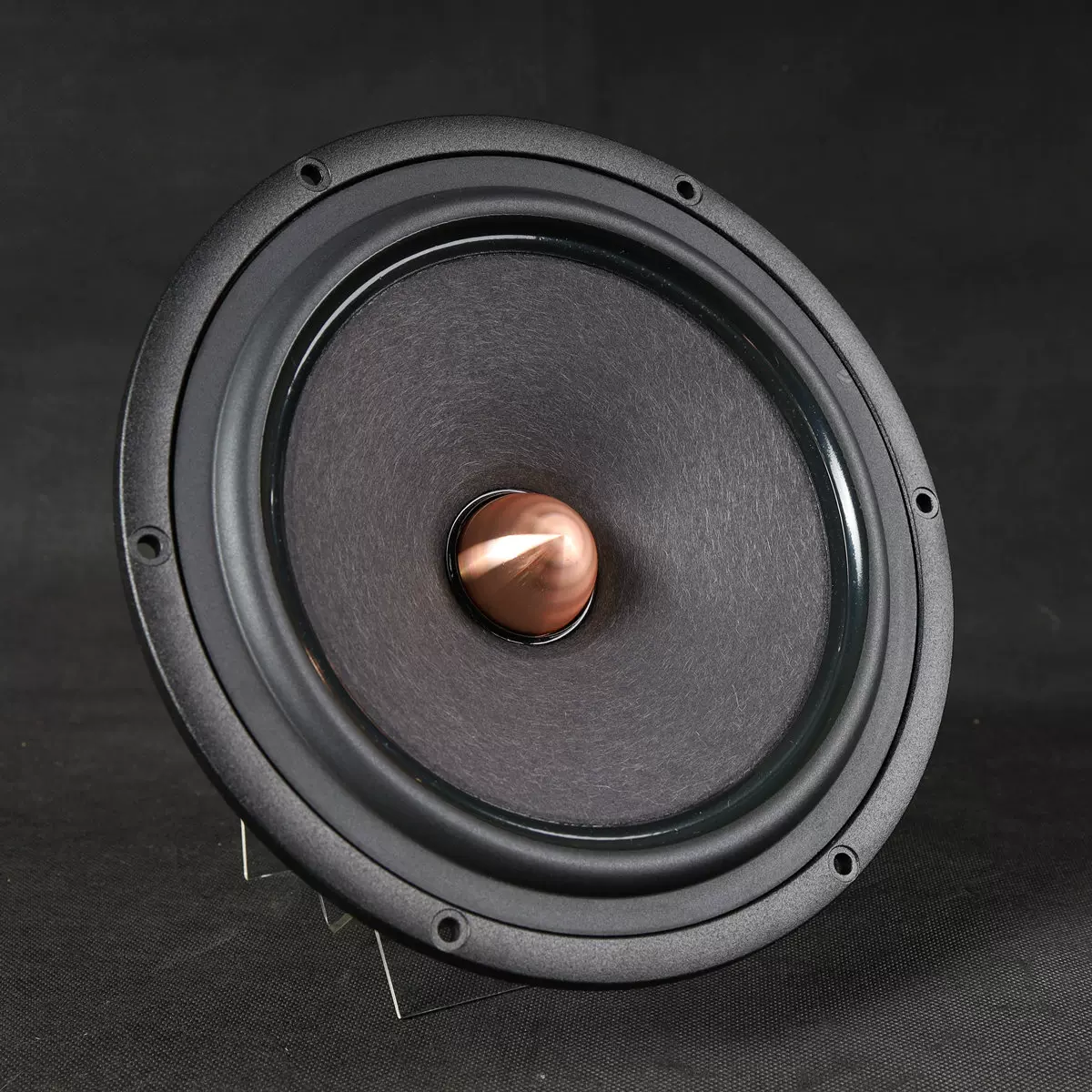 SCAN-SPEAK 25W低音喇叭紳士寶經典10寸255mm影音器材專用