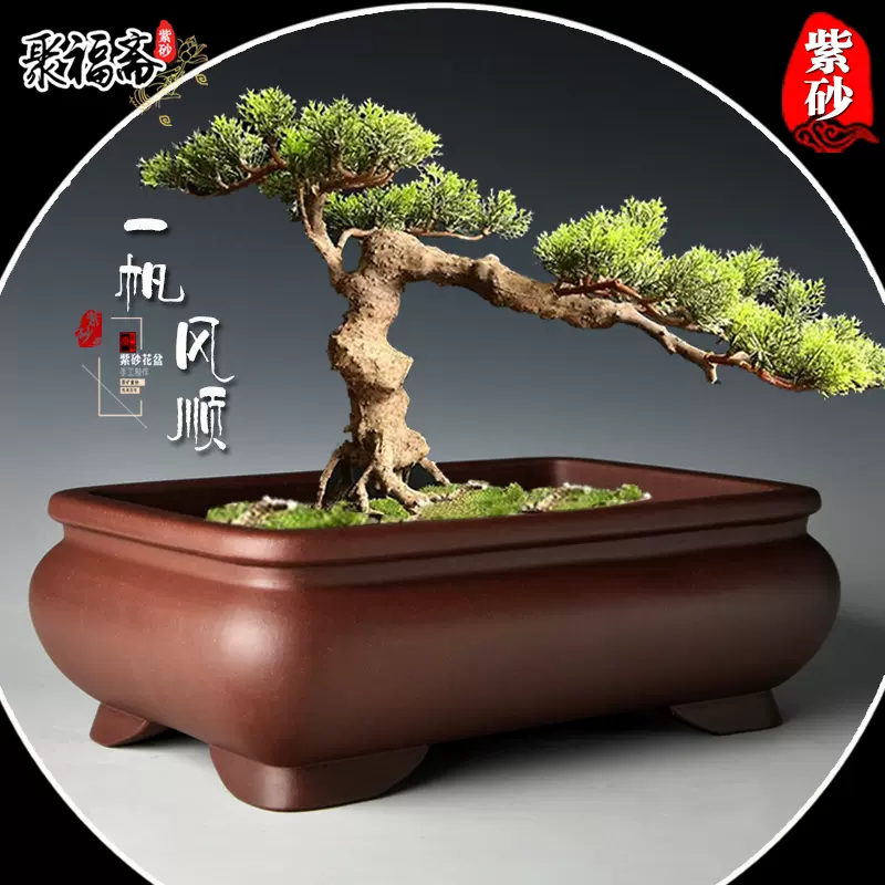 宜兴紫砂花盆小号紫泥盆景盆多肉盆栽专用古典风格清仓特价