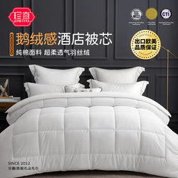 Warm Feather Velvet Quilt Core for Apartment Dormitory Home Use, Suitable for All Seasons, Thickened Winter Warm Mattress Bedding