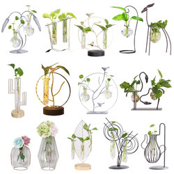 Desktop hydroponic plant glass small fresh