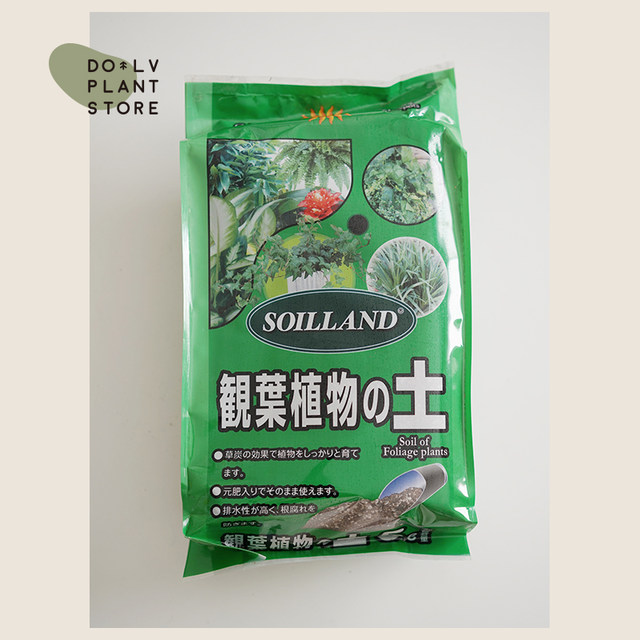 DOLV bean green beautiful plant nutrition soil foliage plant succulent cactus high temperature sterilization soil for home and gardening