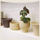 DOLV bean green Brand classical art flower pot classic gravel color home gardening clay flower pot flower pot