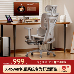 Totguard Ergonomic Chair Computer Chair Home Office Chair Gaming Chair Long Sitting Lumbar Support Backrest Chair E1