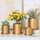 Straight matte gold silver cylindrical ceramic flower pot indoor and outdoor desktop flowers floor floral pot with tray