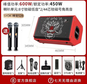 
SYOK Shenlong S28 Musical Instrument Speaker for Outdoor Performance Live Singing Special Guitar Audio High Power Professional
