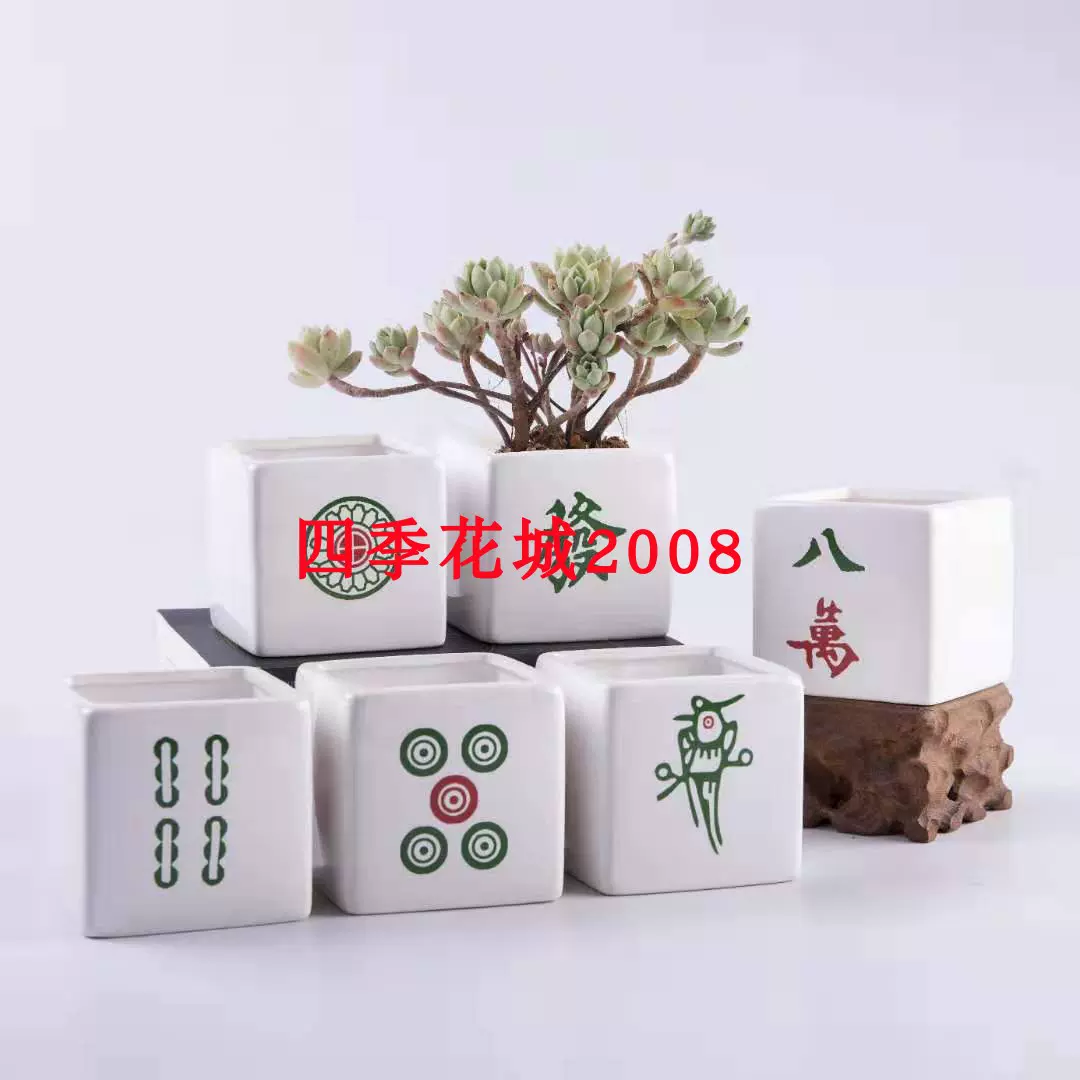 龍王角龍王閣綠植多肉無刺仙人掌淨化輻射防小人風水仙人柱拼盤