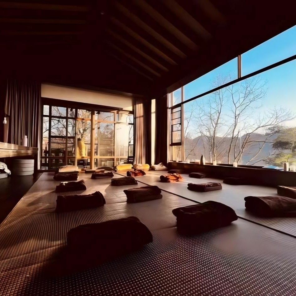 峨眉山万年雪芽坊别墅|二选一·双人滑雪1小时/观光车+万年寺上下索道(限定滑雪季) - 定制游预订