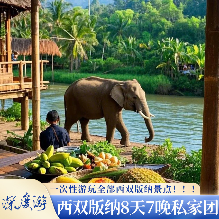 【版纳深度游】西双版纳8天7晚私家团全程四钻酒店体验活动旅拍 - 定制游预订