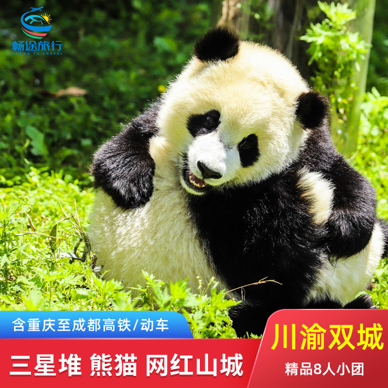 8人小团 成都重庆5天4晚五日游跟团纯玩熊猫基地三星堆赠川剧表演 - 定制游预订