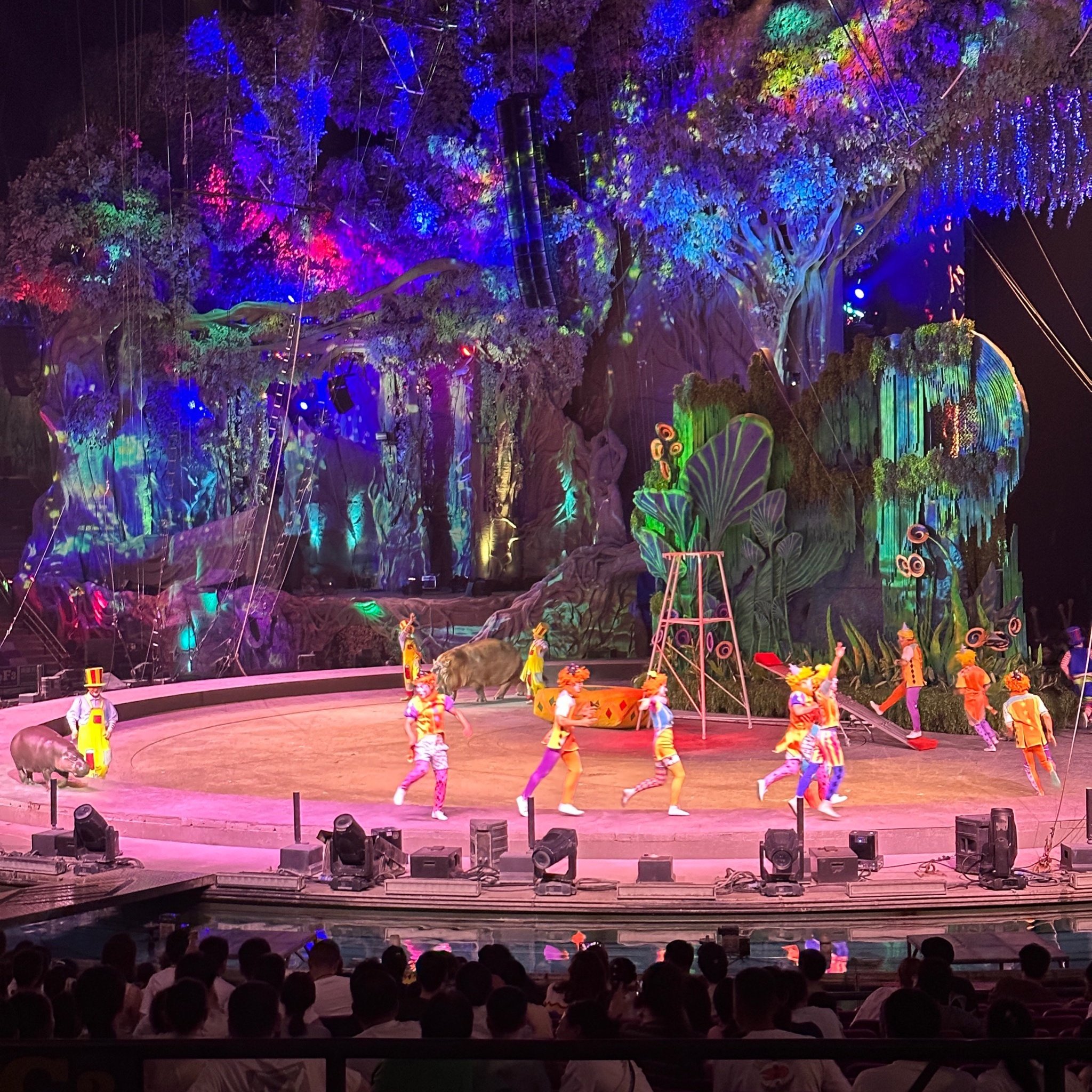 广州长隆熊猫酒店住宿+长隆国际大马戏成人门票