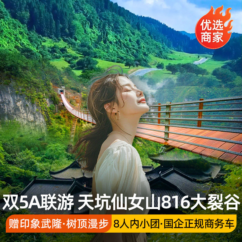 重庆旅游周边两日游纯玩小团武隆天生三桥大裂谷旅行社包车跟团游 - 定制游预订