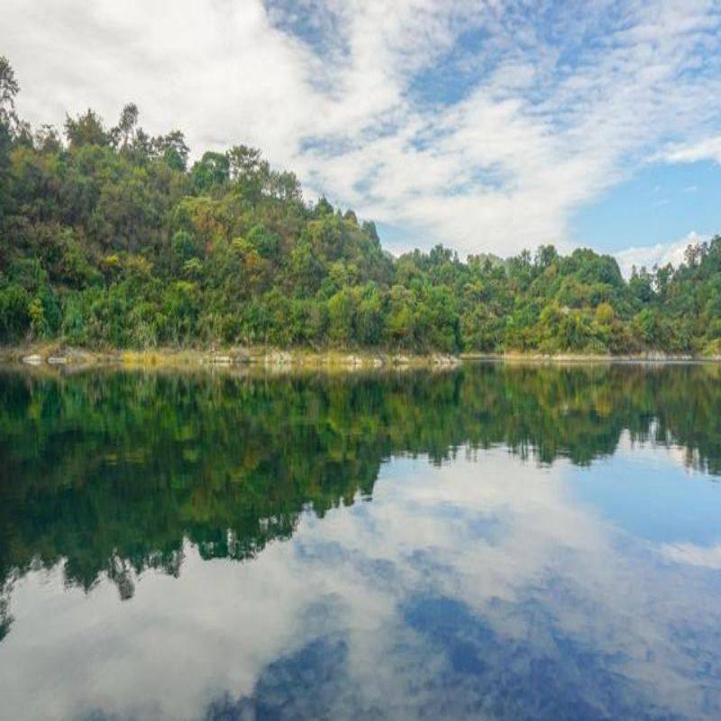 【甄选&畅游】南通森林野生动物园宿精选酒店2天自由行 - 定制游预订