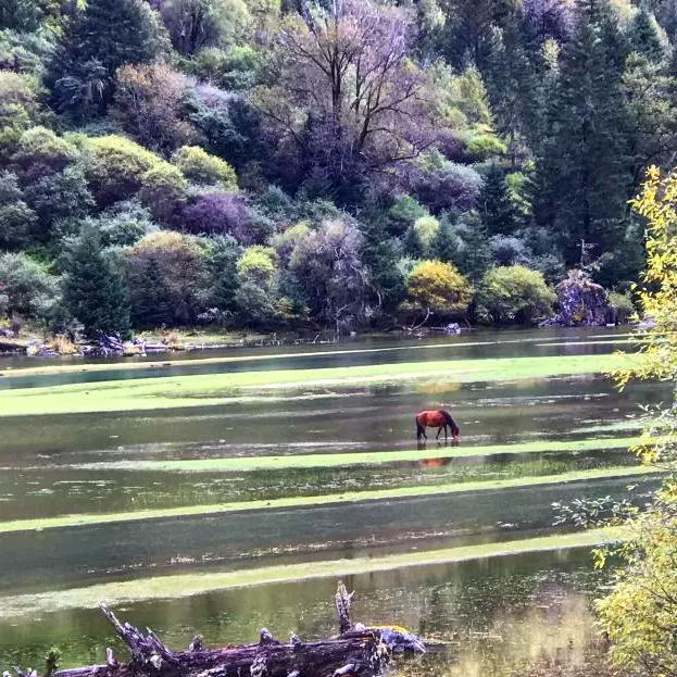 莲花湖景区图片