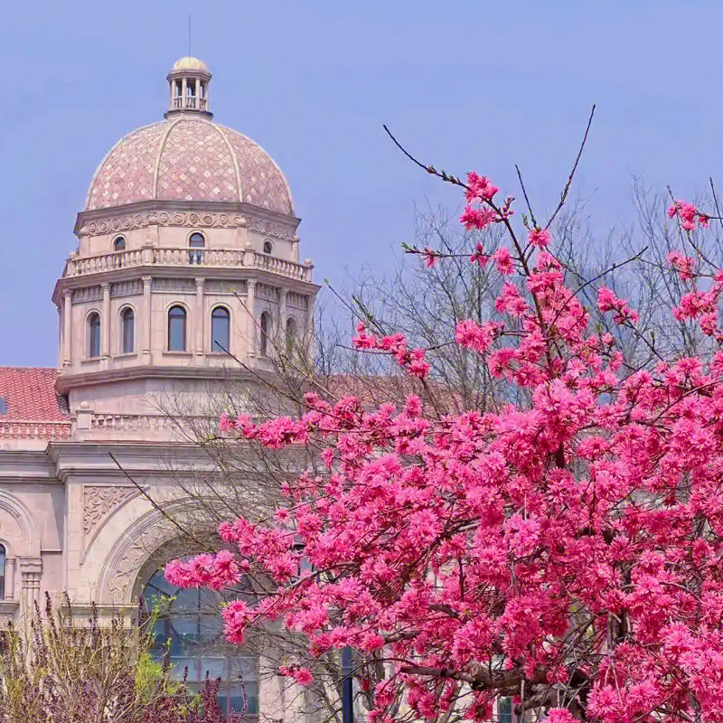 天津出发/天津之眼+张学良+瓷房子+五大道+海河+相声纯玩一日游